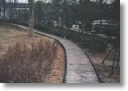 work-way decking67.jpg